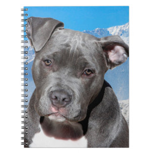 Cuaderno Pit Bull