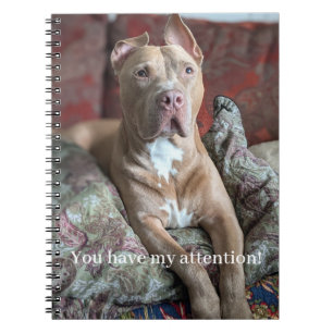 Cuaderno Pit Bull Bonito
