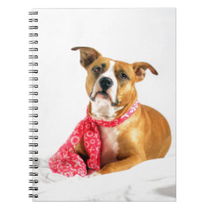 Cuaderno Pit Bull cachorro amor en XOXO rosado