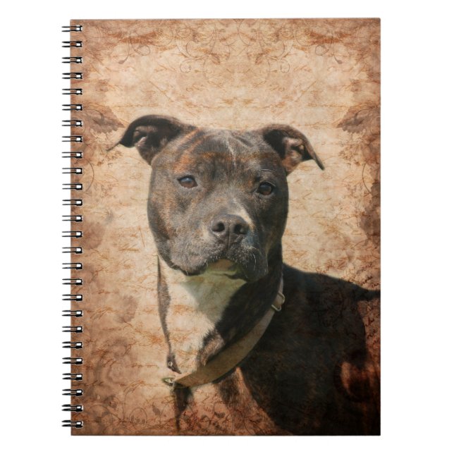 Cuaderno Pit Bull Terrier (Frente)