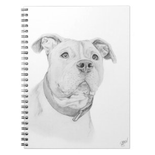 Cuaderno Pitbull, entendido mal
