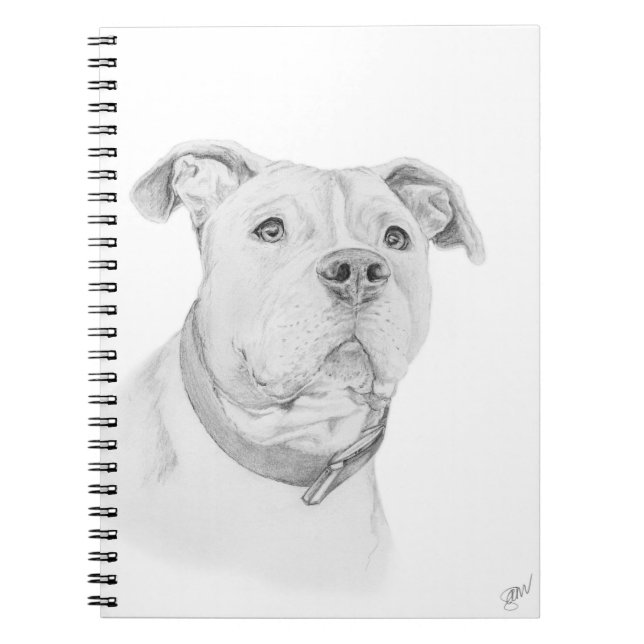 Cuaderno Pitbull, entendido mal (Frente)