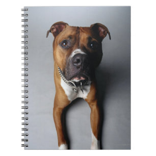 Cuaderno Pitbull Terrier que se acuesta