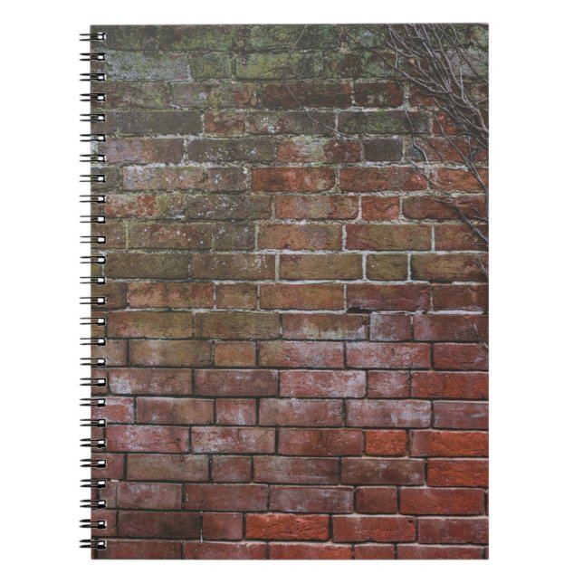 Cuaderno Pizarra de madera marrón y negra (Frente)