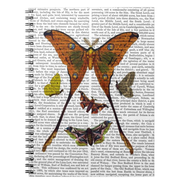 Cuaderno Placa de moho 2 (Frente)