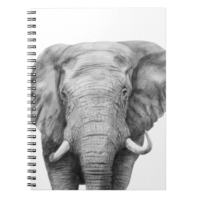 Cuaderno Plan de respaldo IV (Frente)