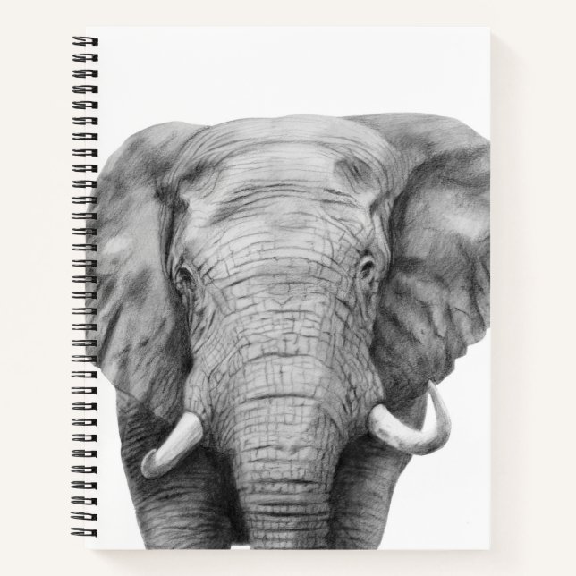 Cuaderno Plan de respaldo IV (Anverso)