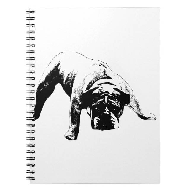 Cuaderno Planes con estructura básica (Frente)