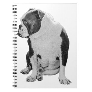 Cuaderno Planes con un amigo sentado