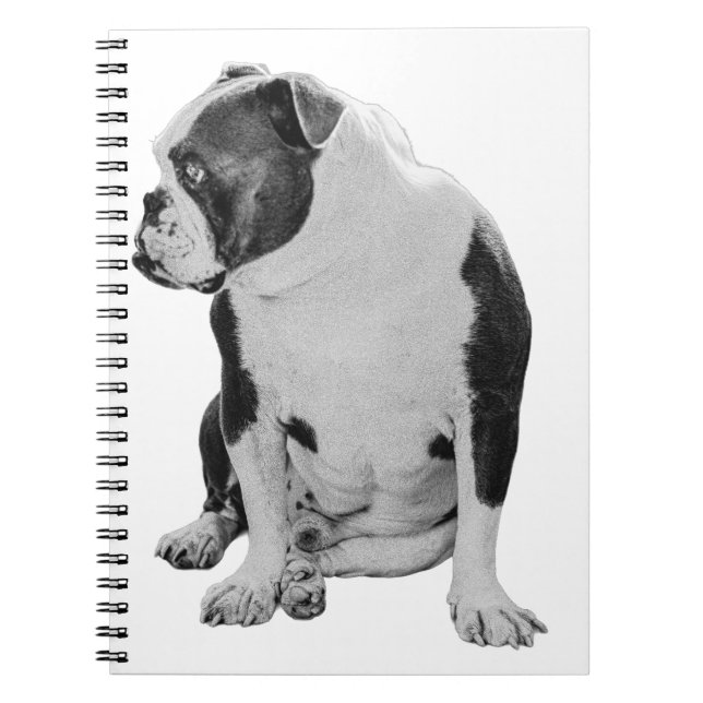 Cuaderno Planes con un amigo sentado (Frente)