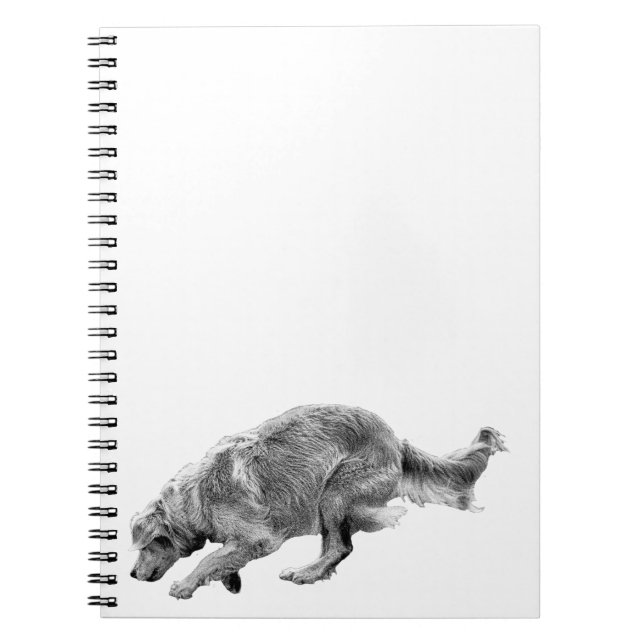 Cuaderno Planes con un oro en marcha (Frente)