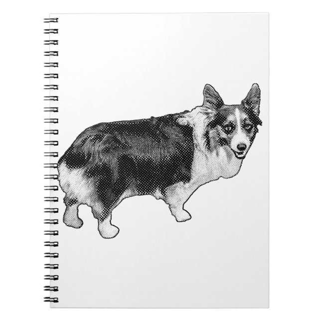 Cuaderno Planes de Corgi List-Star (Frente)