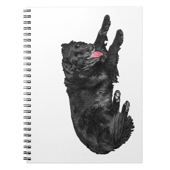 Cuaderno Planes de página de Crisp, amigo de lengua emirana (Frente)