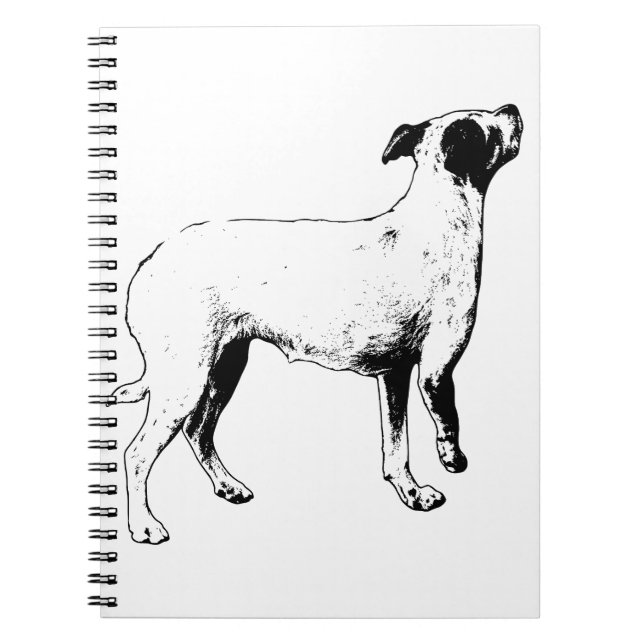 Cuaderno Planes, pero más brillantes (Frente)