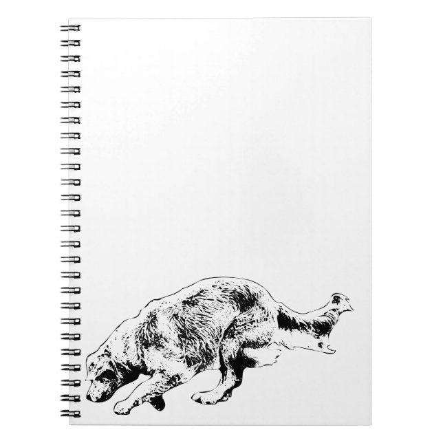 Cuaderno Planes y juegos con Sprint Golden (Frente)