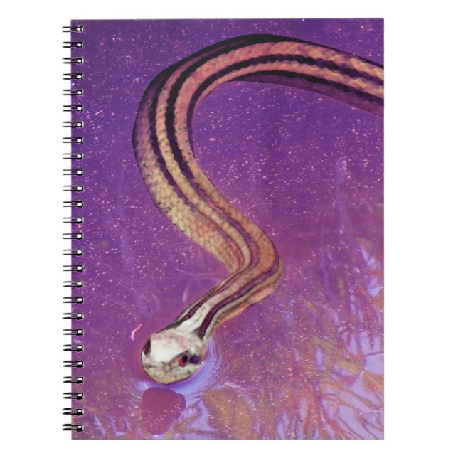 Cuaderno Planeta de la serpiente (Frente)