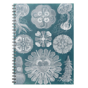 Cuaderno Plano Azul marino IV