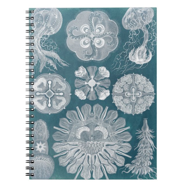 Cuaderno Plano Azul marino IV (Frente)
