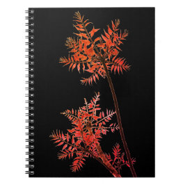 Cuaderno Planta