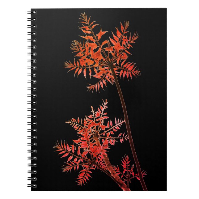 Cuaderno Planta (Frente)