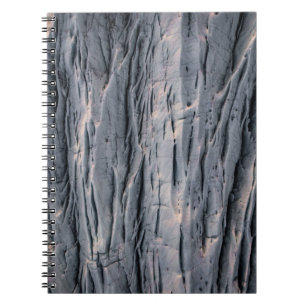 Cuaderno Planta
