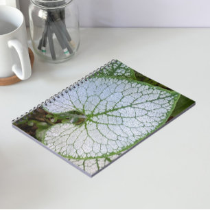 Cuaderno Planta Brunnera Macrophylla Hoja Floral