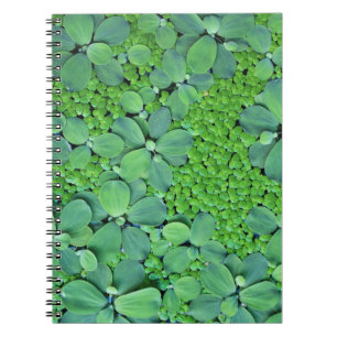 Cuaderno Planta de agua