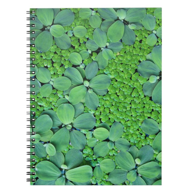 Cuaderno Planta de agua (Frente)