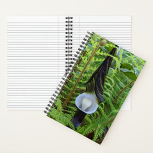 Cuaderno Planta de bosque Jack-in-the-Pulpit