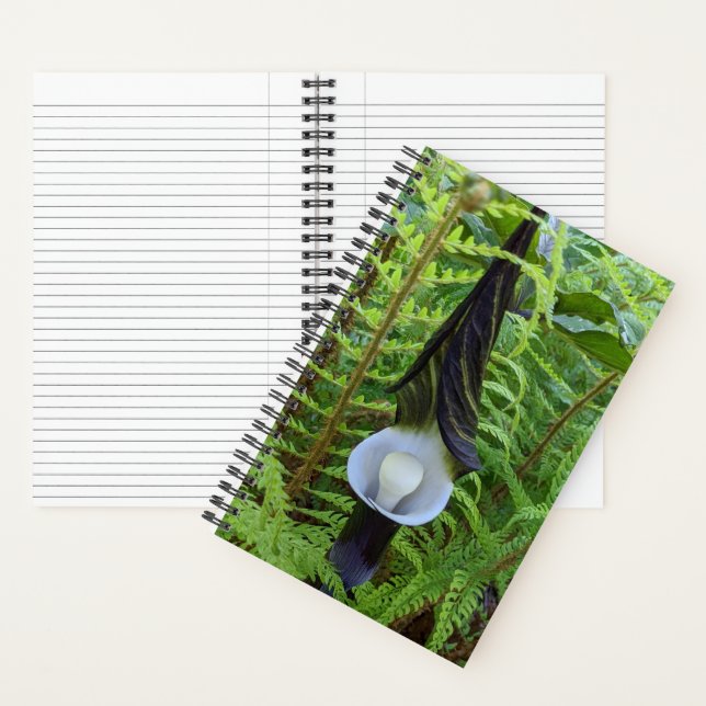 Cuaderno Planta de bosque Jack-in-the-Pulpit (Interior)