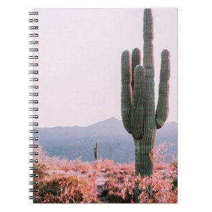 CUADERNO PLANTA DE CACTUS JUNTO A LA PLANTA DE LIBERACIÓN D