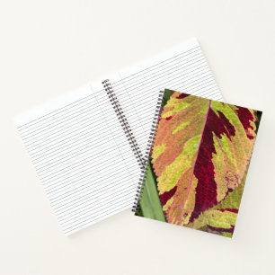 Cuaderno Planta de Coleus Colorida Hoja Floral