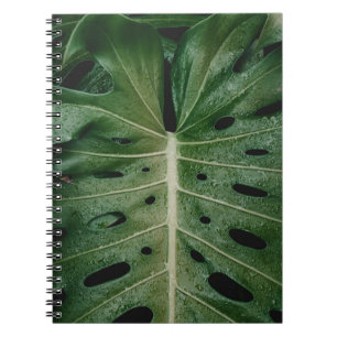 Cuaderno Planta de hoja verde