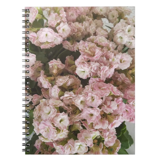 Cuaderno Planta de Kalanchoe Rosa (Frente)