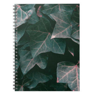CUADERNO PLANTA DE PLOMO VERDE