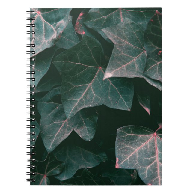 CUADERNO PLANTA DE PLOMO VERDE (Frente)