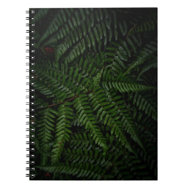 Cuaderno Planta Fern (Frente)