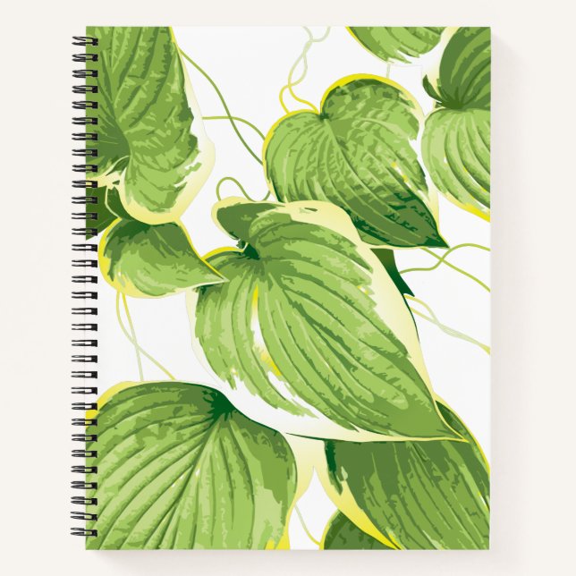 Cuaderno Planta Ficus (Anverso)