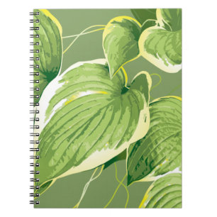 Cuaderno Planta Ficus 5