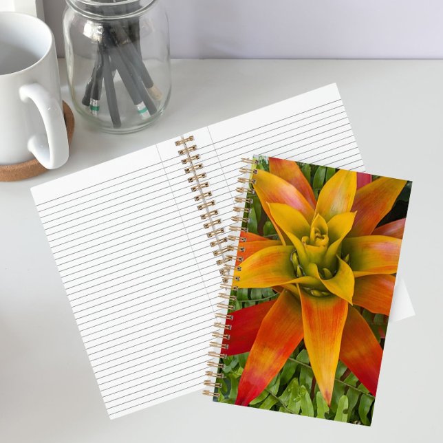 Cuaderno Planta Floral de Bromelia Guzmania (In Situ)