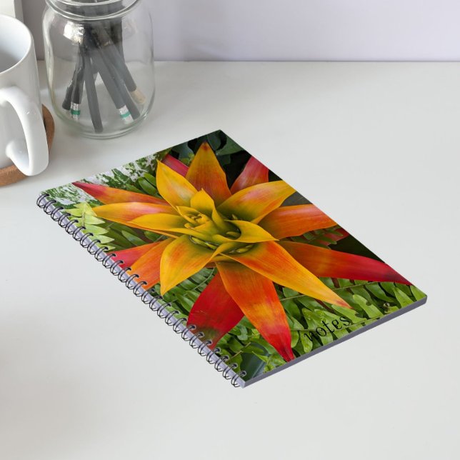 Cuaderno Planta Floral de Bromelia Guzmania (In Situ)