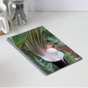 Cuaderno Planta Floral de Jack-in-the-Pulpit