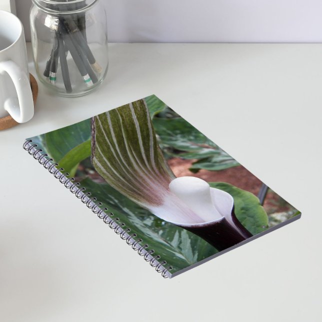 Cuaderno Planta Floral de Jack-in-the-Pulpit (In Situ)