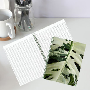 Cuaderno Planta Monstera Floral Variada