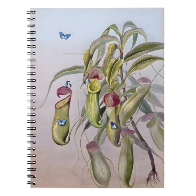 Cuaderno Planta Nepenthes dibujos, aniversario (Frente)