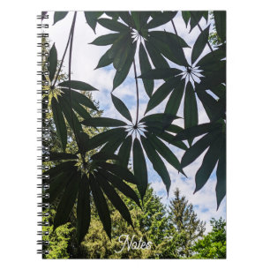 Cuaderno Planta Schefflera deja flores