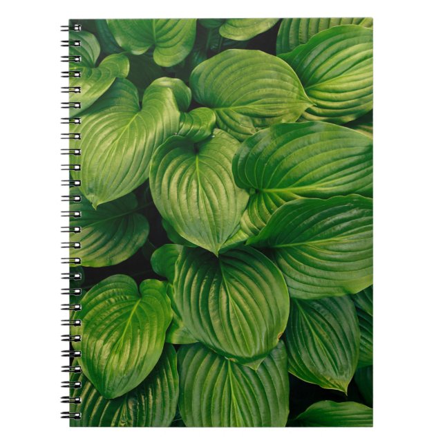 Cuaderno Planta verde (Frente)