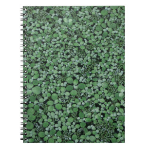 Cuaderno Planta verde arbolada