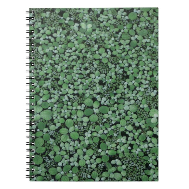 Cuaderno Planta verde arbolada (Frente)