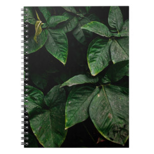CUADERNO PLANTA VERDE EN FOTOGRAFÍA CENTRAL